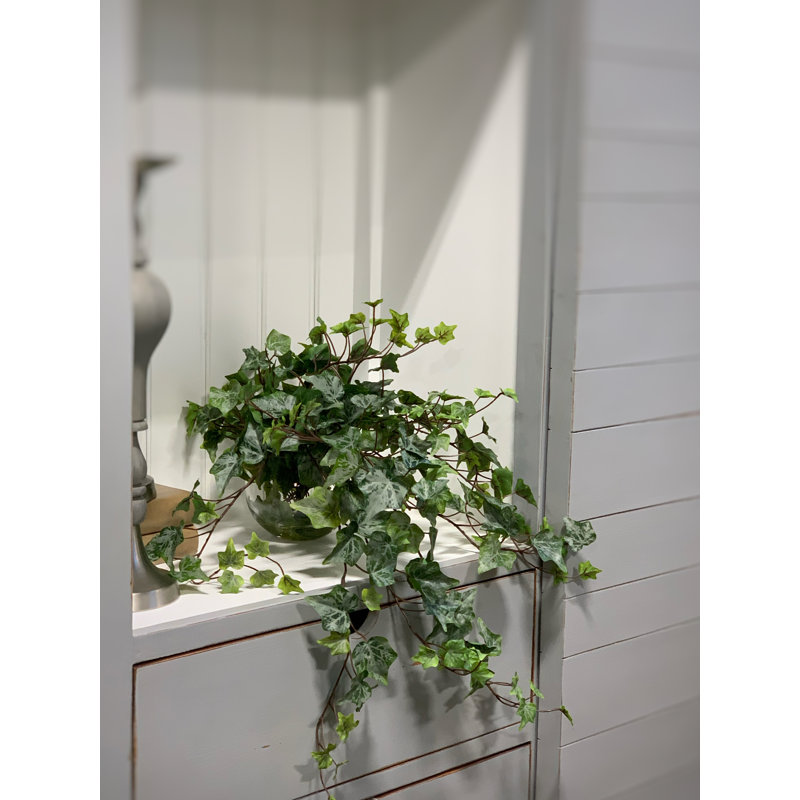 Jenner Faux Ivy Plant in Glass Vase