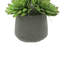 Plante artificielle dans un vase Rockridge-1432359837