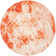 Coleman Hand Tufted Wool/Cotton Geometric Rug in Orange/Ivory