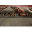 Tapis oriental rétro népalais 9 x 12