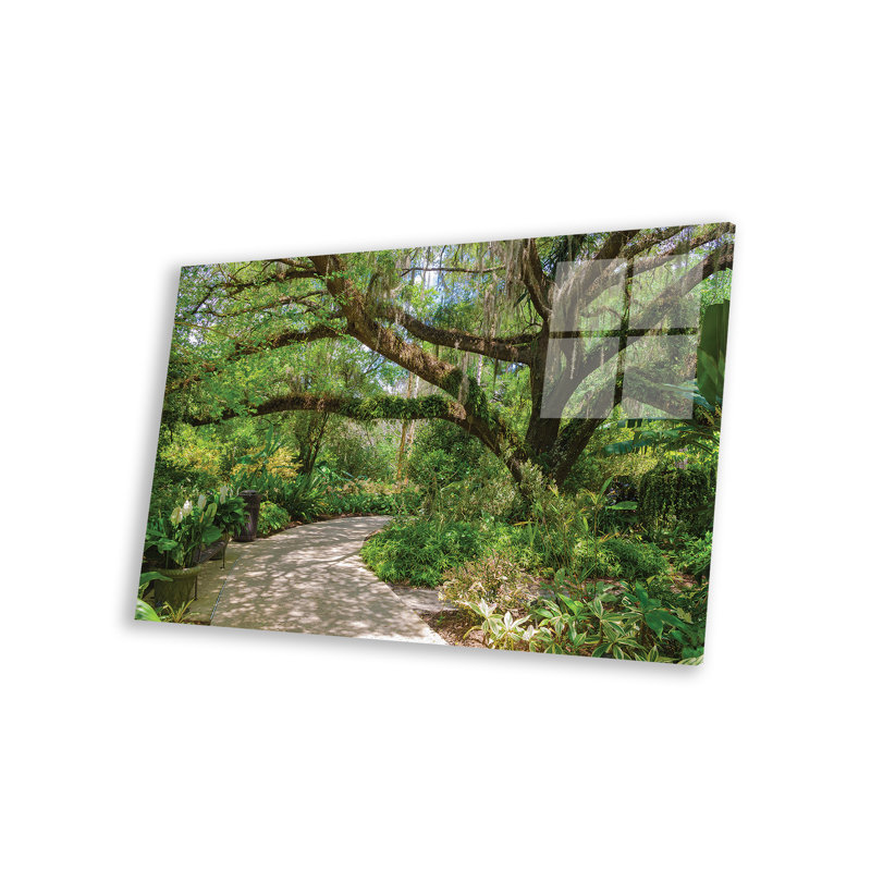 États-Unis, Floride. Jardin tropical avec palmiers et chêne vivant. Impression sur verre acrylique