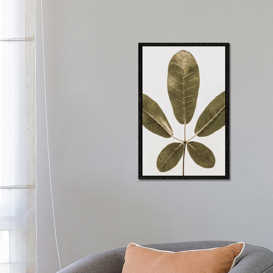 Autum Leaf von Shot By Clint - Gallery-Wrapped Canvas Giclée on Canvas