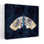 Art mural contemporain Elegant Moth III-404973201