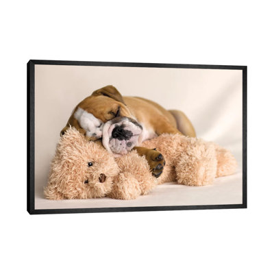 Lola I 1 Piece Wall Art on Canvas