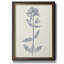 Marine Botanicals V - Peinture sur toile encadrée-1715401312