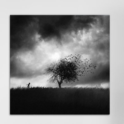 " Illusion d " Print