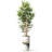 Artificial Tree in Black White Wood Tree Rings Pattern Planter Fake Bamboo Silk Tree-103684948