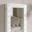 Beedeville Wall Jewelry Armoire-282248314