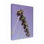 Art sur toile de palmiers «bolologuf studio III Las Vegas»-103104151