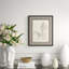 Study of Two Horses Framed Drawing Print