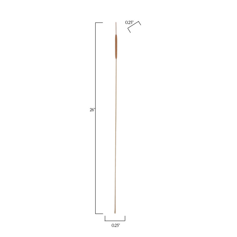 Natural Fibres Cattail Arrangement