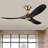 Caeden Ceiling Fan-1552286035-1549881012-1562742216