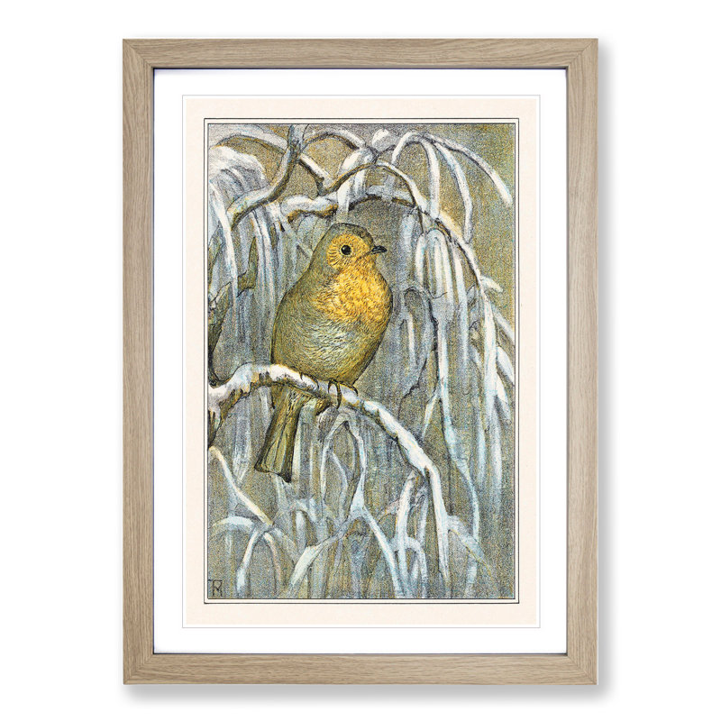 Robin Bird by Theo Van Hoytema - Picture Frame Painting, 48cm H x 36cm W x 2cm D, Oak Framed