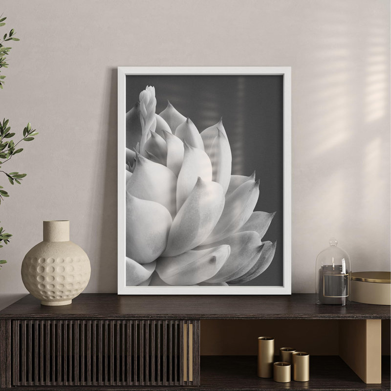 Illustration de petits espaces gris et gris de la plante grasse, H 10 po x l 8 po, Blanc