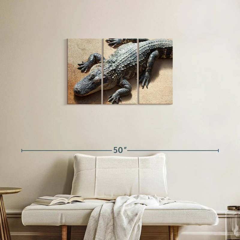 Alligator, 20" H x 33" W