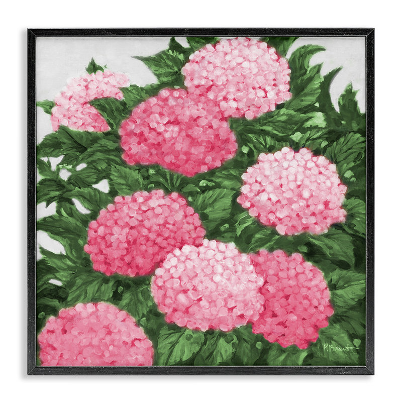 Impression d'hydrangées roses, giclée encadrée, design par Paul Brent, Giclée encadrée noir minuit, H 12 po x l 12 po