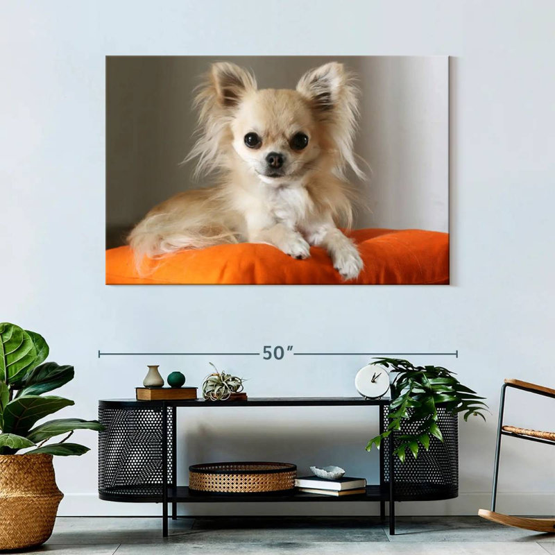 Crowle Chihuahua On Pillow, 32" H x 48" W