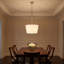 Herve Hanging Shade-2079983789-2079983791