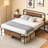 Guiseppe Wood Platform Bed-1083373788