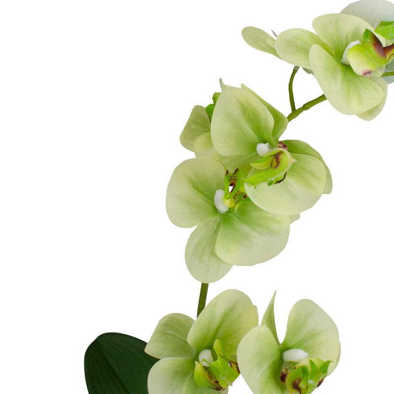 Décoration de table plante en pot 14 po vert et blanc ivoire