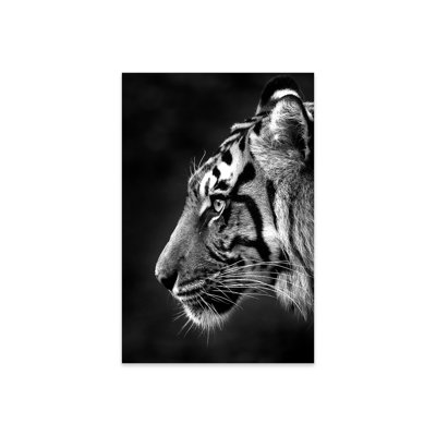 " Indrah " by David Whelan