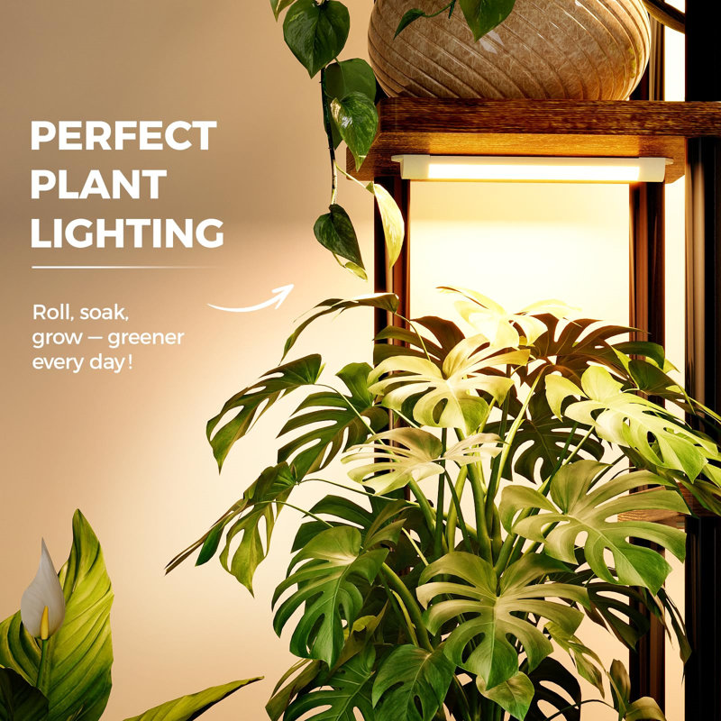 Plant Stand - Set of 6