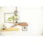 Ayanna 46cm Ceiling Fan-9746706