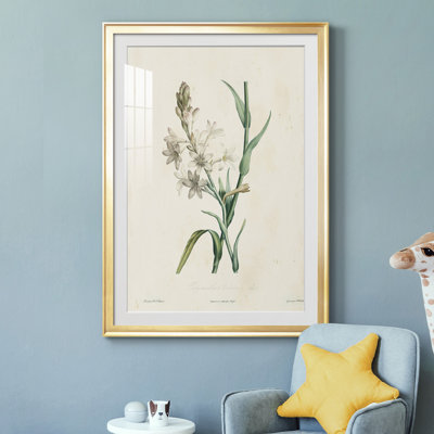 Traditional Botanical IV - reproduction de cadre photo