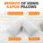 Wolfville Natural Fiber Medium Pillow