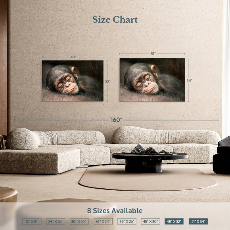 Brampt Sleeping Baby Chimpanzee, 34" H x 51" W
