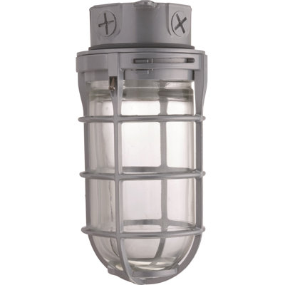 M12 Incandescent Utility Vapor 150-Watt Wall Pack