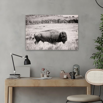Contemporary Buffalo I BW