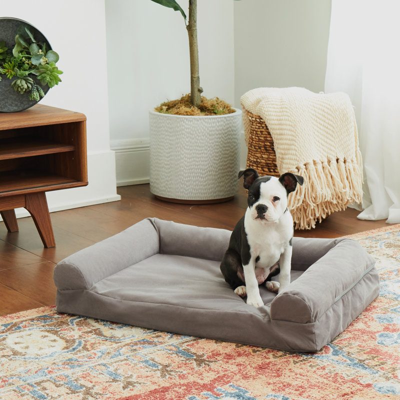 Canapé pour chien Cristalina, Moyen (l 29 po x P 20 po x H 7 po), gris