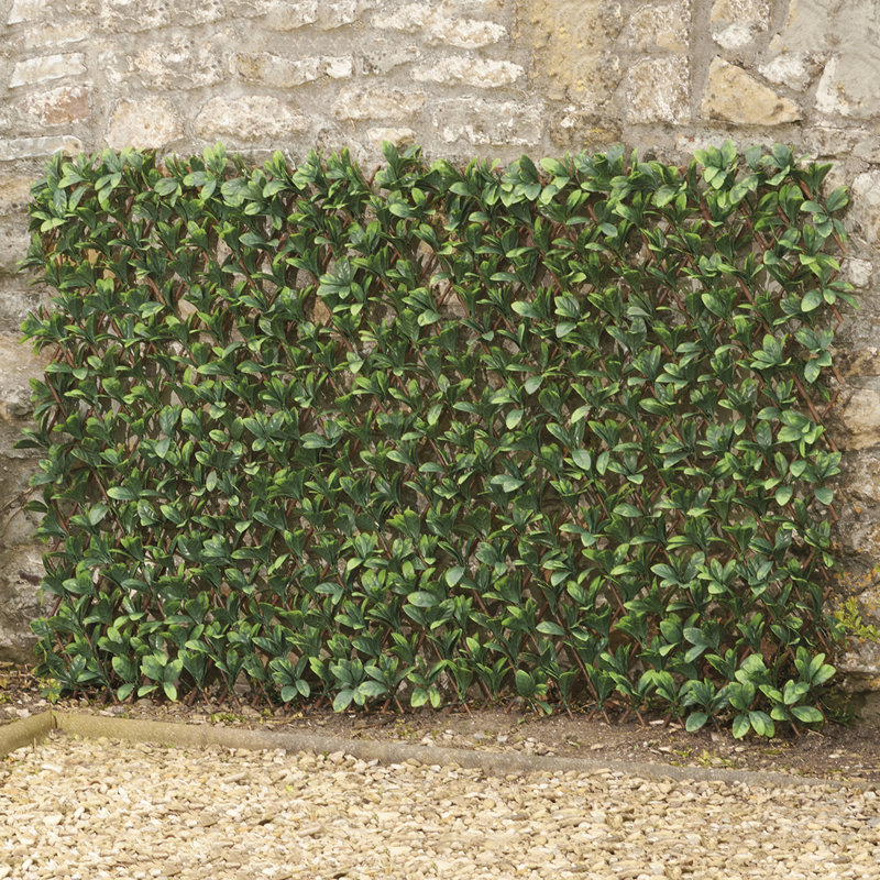 Talamantez 200cm H x 100cm W Wood Expanding Trellis