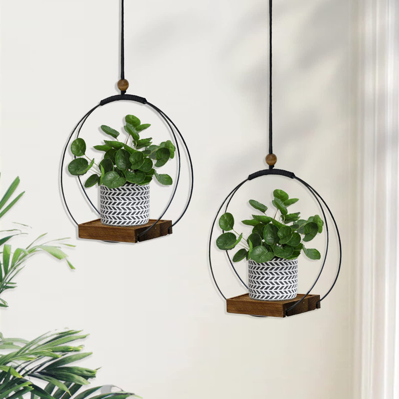 Metal Wall Planter, 64.5cm H x 32cm W x 15cm D, Black