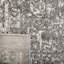 Oriental Area Rug-1149678509-1177024058