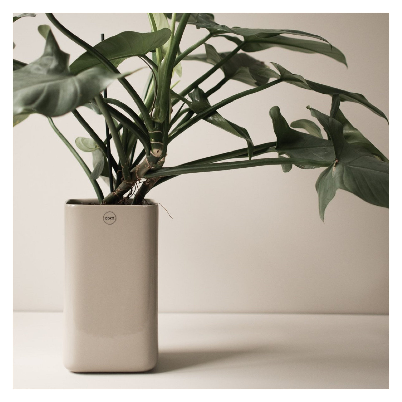Dan Ceramic Table Vase, Greige, 9.84" H x 5.11" W x 5.11" D