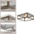 Arguster Glass Flush Mount