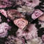 Rotteck Floral Wallpaper Roll