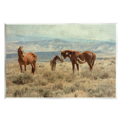 «Heartening Horse Foal Family Scenic Mountain Clouds» par Jan Walters - Art textuel sans cadre sur panneau de fibres à densité moyenne