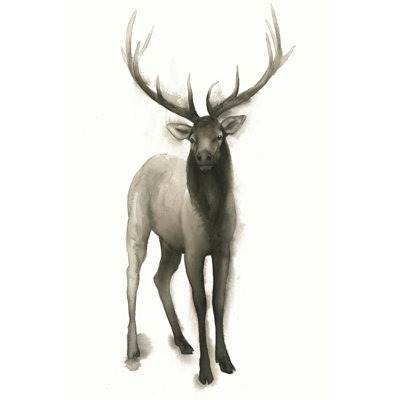 Majestic Wildlife II 1 Piece Wrapped Canvas Wall Art