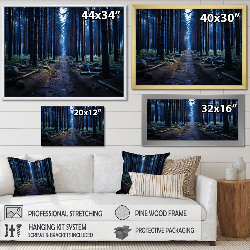 " Blue Path To The Forest ", Gold Single Picture Framed, 30" H x 40" W x 1.5" D