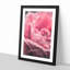 Petals of a Pink Rose - Picture Frame Painting Print-56925126-56925127