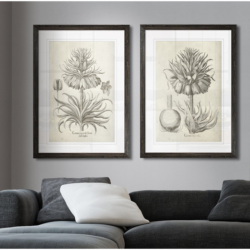 «Fresco Crown Imperial II», ensemble de 2 reproductions d'art encadrées, H 20 po x l 16 po x P 1,25 po, Blanc, Cadre ébène