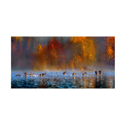 Art sur toile «Hua Zhu Audubons»