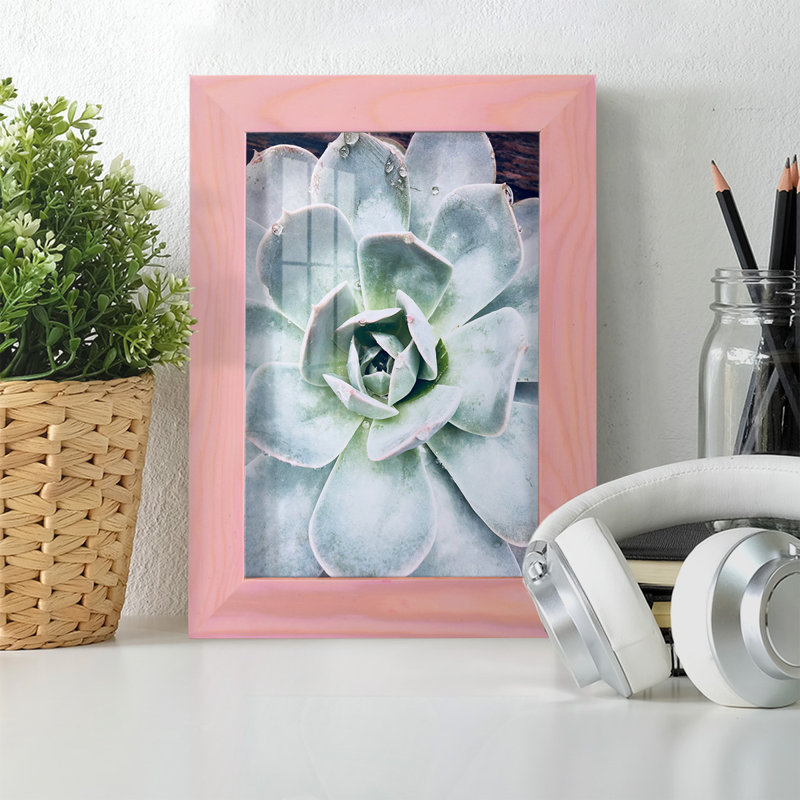 Pastel Succulent Beauty IV, reproduction d'art encadrée, H 7 po x l 5 po x P 1 po, Rose