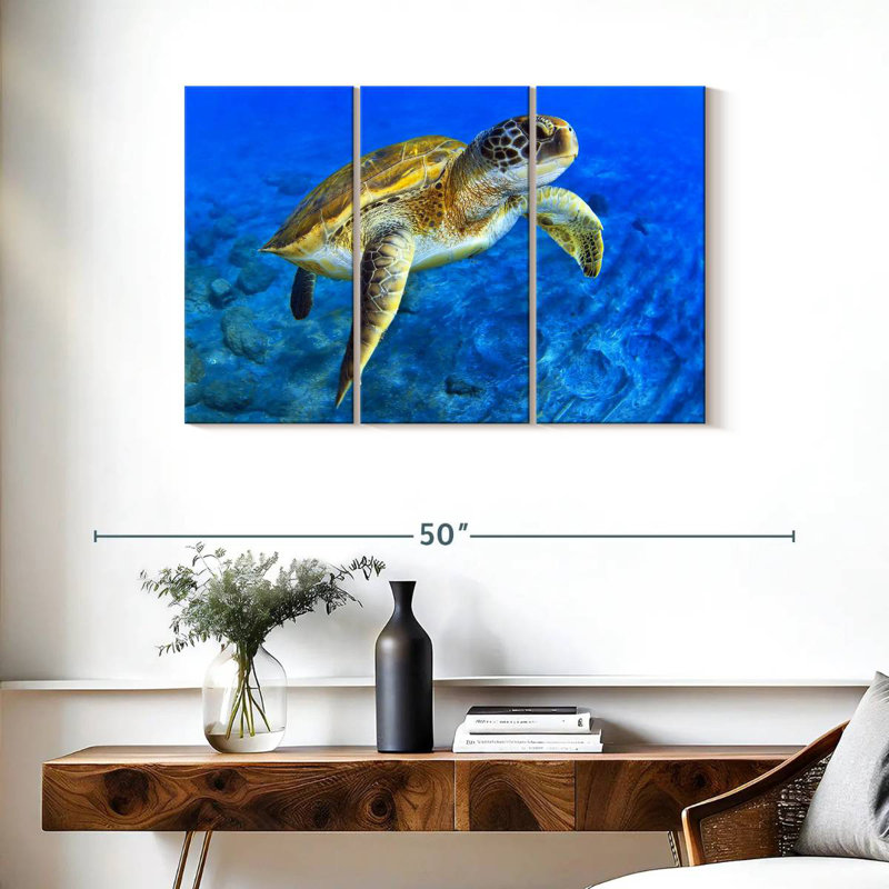 Sea Turtle Explorer, 24" H x 38" W