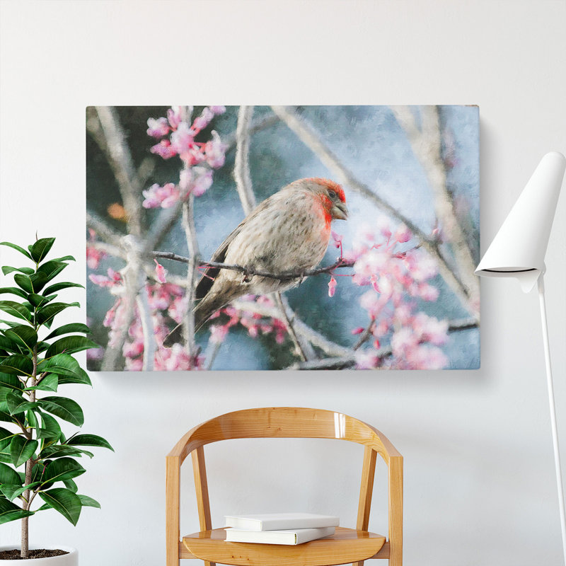 A House Finch Bird - Wrapped Canvas, 40cm H x 60cm W x 3cm D
