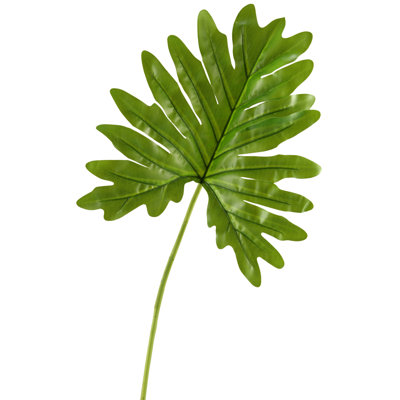 Philo Leaf Stem