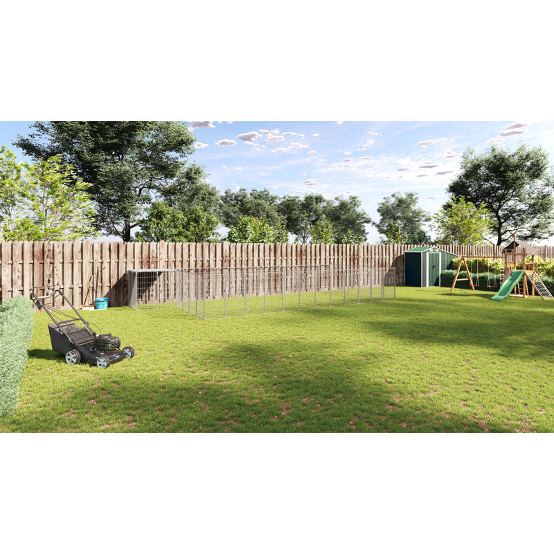 Chenil pour chien, Argent